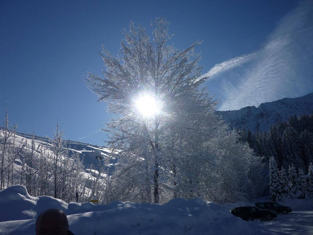 Appartementhaus Alpenrose Wallgau Exteriör bild