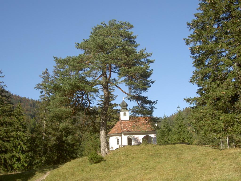 Appartementhaus Alpenrose Wallgau Exteriör bild