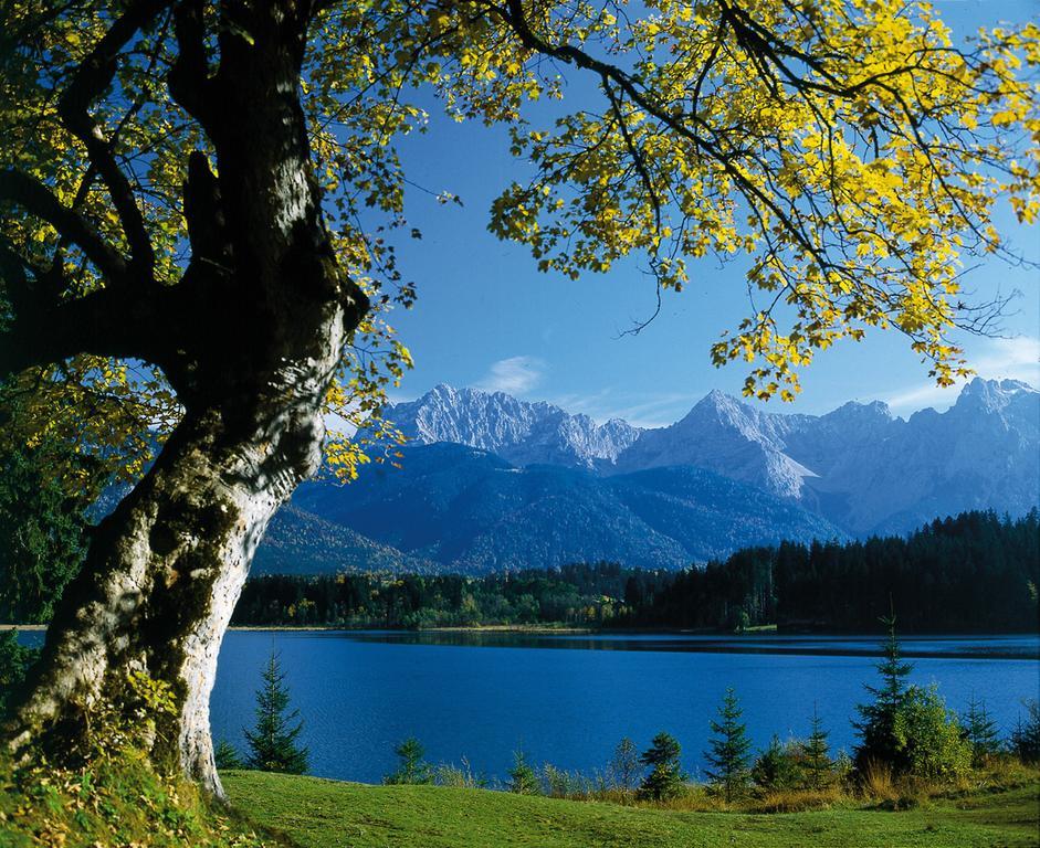 Appartementhaus Alpenrose Wallgau Exteriör bild